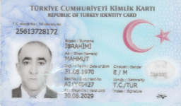 ID for Mahmoud Ebrahimi