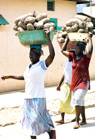 Market women carry roots to market in Acra, Ghana.