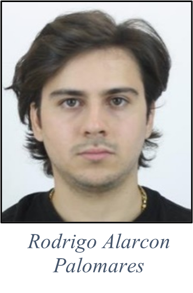 Rodrigo Alarcon Palomares