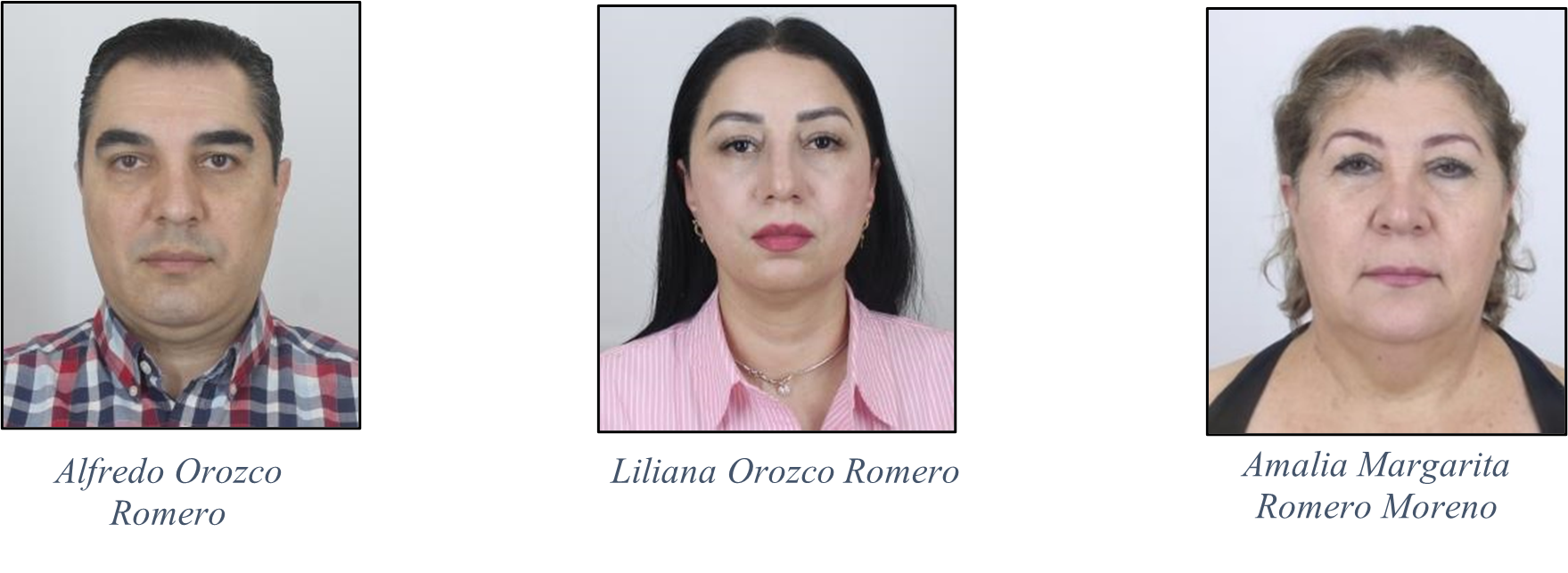 Alfredo Liliana Amalia