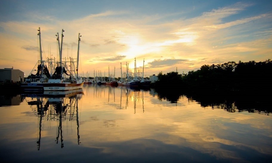 Shrimp boats docked in Bayou la Batre, Alabama. Photo by Billy Pope, provided by Alabama Department of Conservation and Natural Resources.